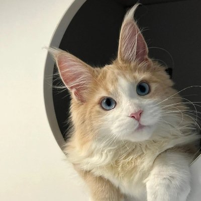 Sid_sii_1's profile picture. 