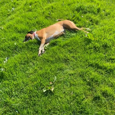 BMannering11898's profile picture. 