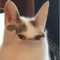akaballoon (@balloon08non) 's Twitter Profile
