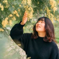 さくま🦄脚本家 (@sailorponkotsu) Twitter profile photo