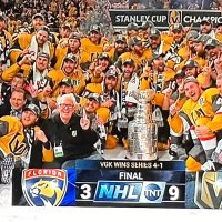y-Erik Vegas VGK | Cup in 6!!! (@erikvegasvgk) 's Twitter Profile