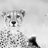 upandkicking's profile image