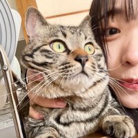 もえみ (@terumin_125) 's Twitter Profile