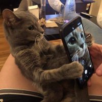 Ur-fav-dr-fofa (@fatema097370743) 's Twitter Profile