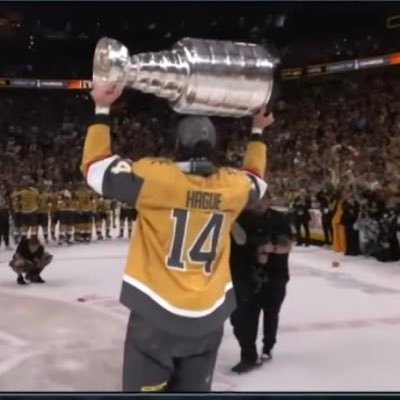 TheRealICGames1's profile picture. #vegasborn #blackhawks #behereforit | Nic Hague is the goat | Number 1 Golden Knights fan in Chicagoland LLJG❤️