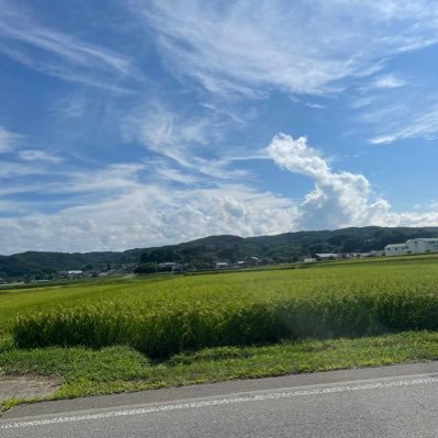 abcdeffedmnwt's profile picture. 