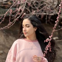 mahsa (@mehmanimahsa) 's Twitter Profile