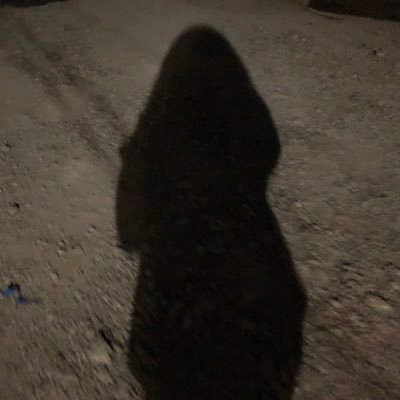 wanna try? slide into my dm| not creeping for ur dumb shit.
