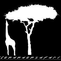 Olonanaonsafari(@olonanaonsafari) 's Twitter Profile Photo