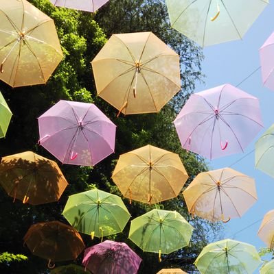 いろんな事をたまにつぶやくかもです
進撃も好きだし、手芸も好き!ごった煮アカってヤツだ…ヒロアカも今激ハマり中!
