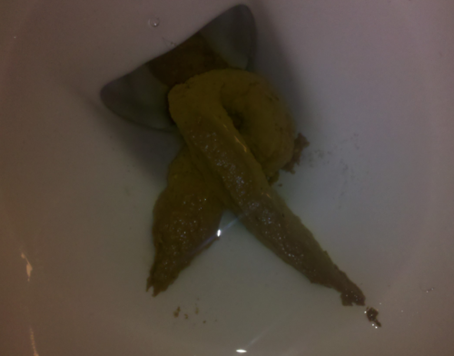 All photos get RT. Poop of the week wins default for a week. Submit all your photos here by tweeting to this account. #PoopArchives