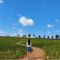 おとは (@otoha_mnwc) 's Twitter Profile Photo おとは (@otoha_mnwc) 's Twitter Profile Photo