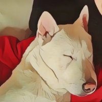 Maggie (@0xmaggie5) 's Twitter Profile