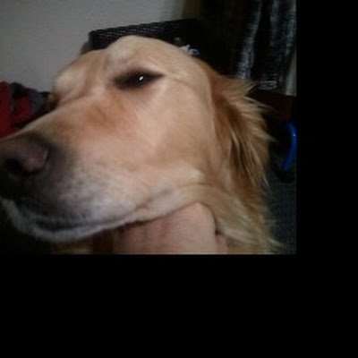 MZedM365's profile picture. 