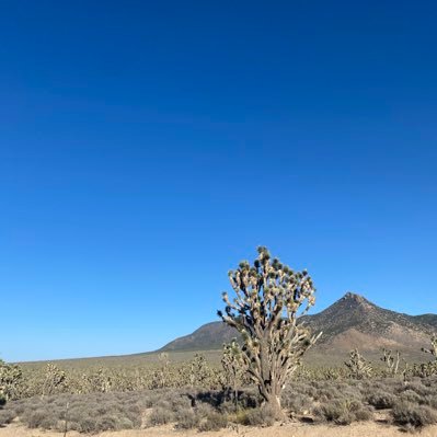 rachelstvnsn's profile picture. 