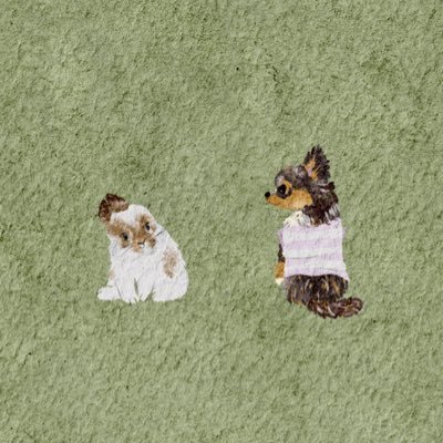 eiwkontummada's profile picture. 🐶🐰