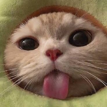 Dearbadearba's profile picture. 2 years