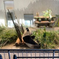 Panda@bkk (@pandabkk244888) Twitter profile photo