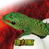ExoTerra's profile picture. Make your reptiles feel at home!