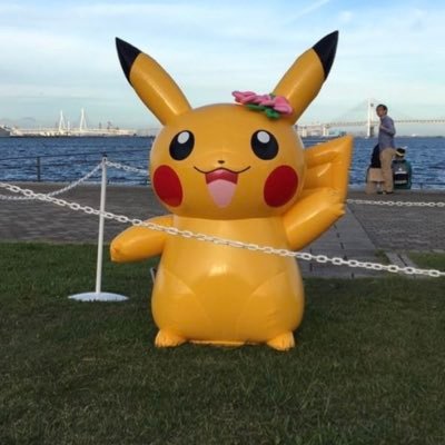 Pokemon GO ー 黄色チーム 、 金ジムコレクター、色違い収集、コータス・パチリス・マネネ が欲しい、 現在TL49です、#PokemomGO#色違い