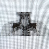 Matthias J Betz (@matthiasjbetz1) 's Twitter Profile Photo