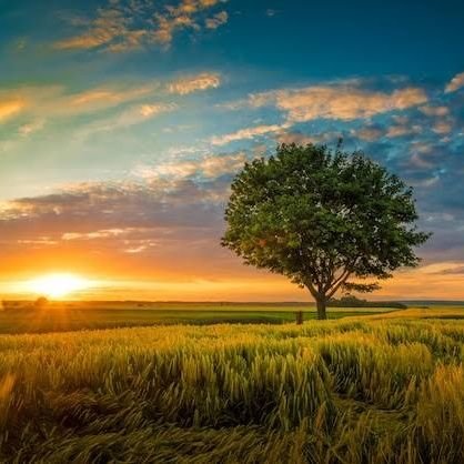 manu_210429's profile picture. Prabhas❤
Nani😍
Surya🥰
Abijeet🤗