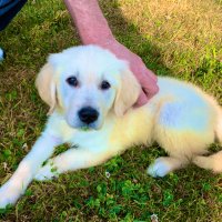 Mavb (@mickb1963) 's Twitter Profile