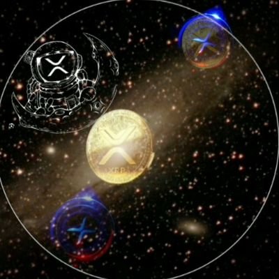 lazy_michel's profile picture. love for blockchain