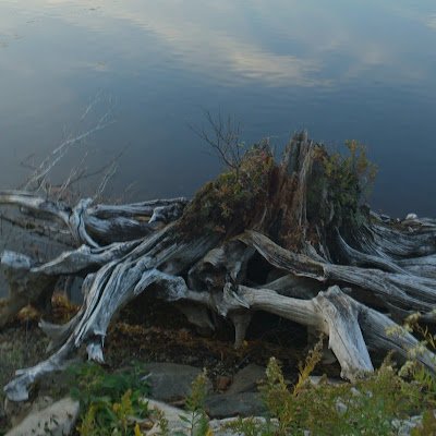 MartinVail67457's profile picture. 