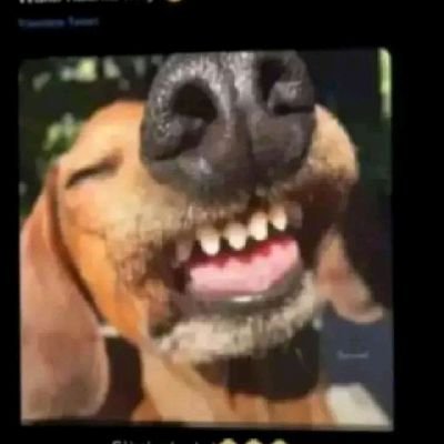 konzyens's profile picture. Kid to hood