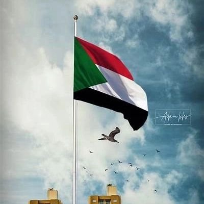 NASERHiHg334652's profile picture. ملك ملوك العالم العربي والإسلامي