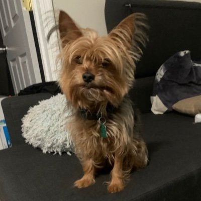 lanre36805's profile picture. A complaining tongue reveals an ungrateful heart 💜