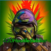 420hostilesoldier(@420Hostile) 's Twitter Profile Photo