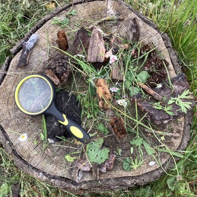 Forest School at Great Denham Primary