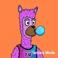 meddat_anuka's profile picture. 🚬😎_✨2️⃣2️⃣✨_😎🚬 DHOOM😎🤘
❤️जन्मदिवस 🎂 २८ जानेवारी १९९९🥳
🔥😈🖕_hey hatter's_🖕😈 🔥
😎96k💯 〽️राठी मुलगी 😎✨$aibhakt🙏✨