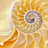 BiomimicrySF's profile image