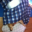 Jake Stahl - @JaKevStAhL13 - Twitter