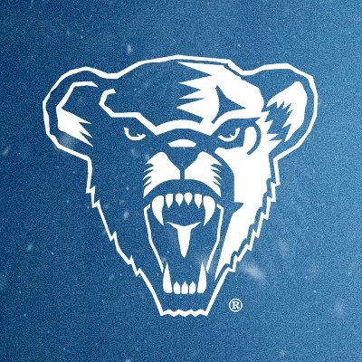 BlackBearsWBB Profile Picture