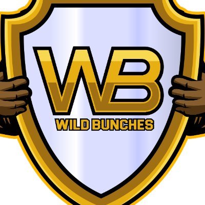 WildBunchesTV Profile Picture