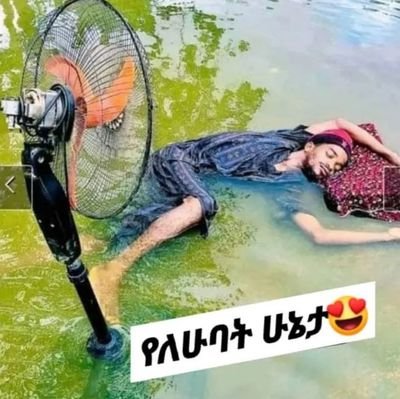 ShorovShorov1's profile picture. 