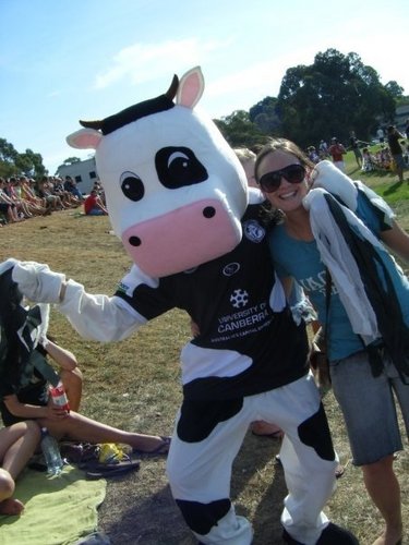 ClarencePasture's profile picture. I am the Mascot and Ambassador for the University of Canberra Cows Rugby League Club. Milk Me! http://t.co/JdAqqaESbn