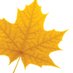 Laurier Math (@lauriermath) Twitter profile photo