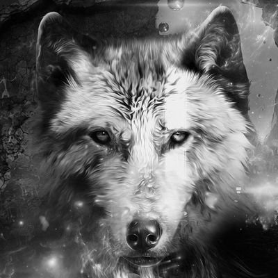 bigdman66698's profile picture. 27 yrs young