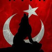 Hanoğuz (@hanoguzoguzhan) Twitter profile photo