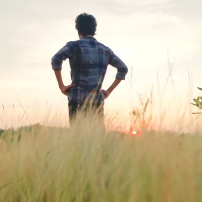 BazDeena's profile picture. director
writer