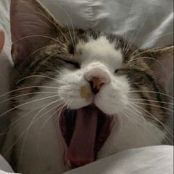 Dinner_11's profile picture. 3D Generalist 
Artstation: https://t.co/qaaRLlynlf