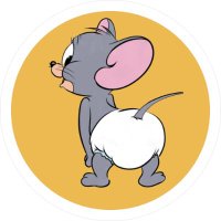NIBBLES (@nibblestoken) 's Twitter Profile