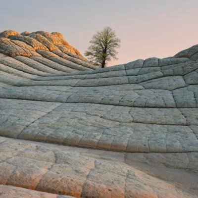 armoury09's profile picture. 