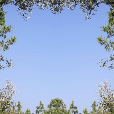 LuvGolf2006's profile picture. 