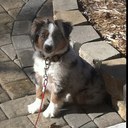 aaron schwind - @AaronSchwind2 - Twitter